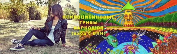Альфа ПВП Володарск