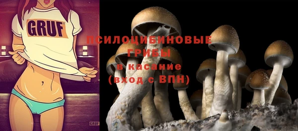 apvp Волосово