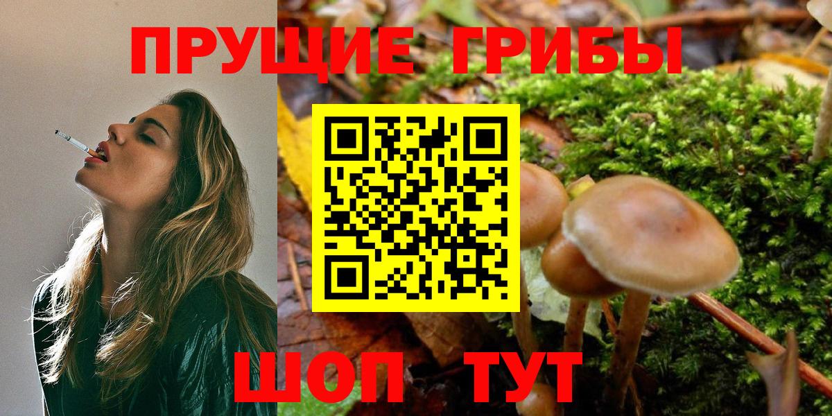 Псилоцибиновые грибы GOLDEN TEACHER Железногорск