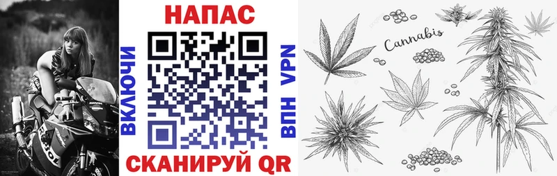 Шишки марихуана ГИДРОПОН  blacksprut сайт  Железногорск  купить наркотики цена 